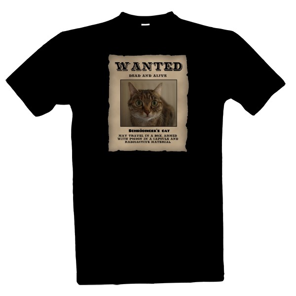 Schrödinger\'s cat